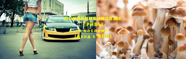 шишки Каменск-Шахтинский