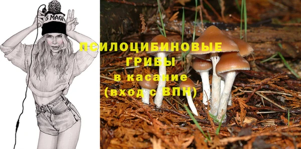 шишки Каменск-Шахтинский
