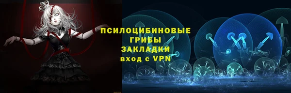 шишки Каменск-Шахтинский