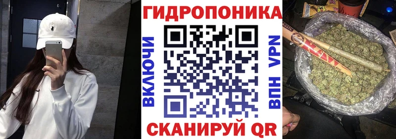 Конопля планчик  Купить закладки  Заволжск 
